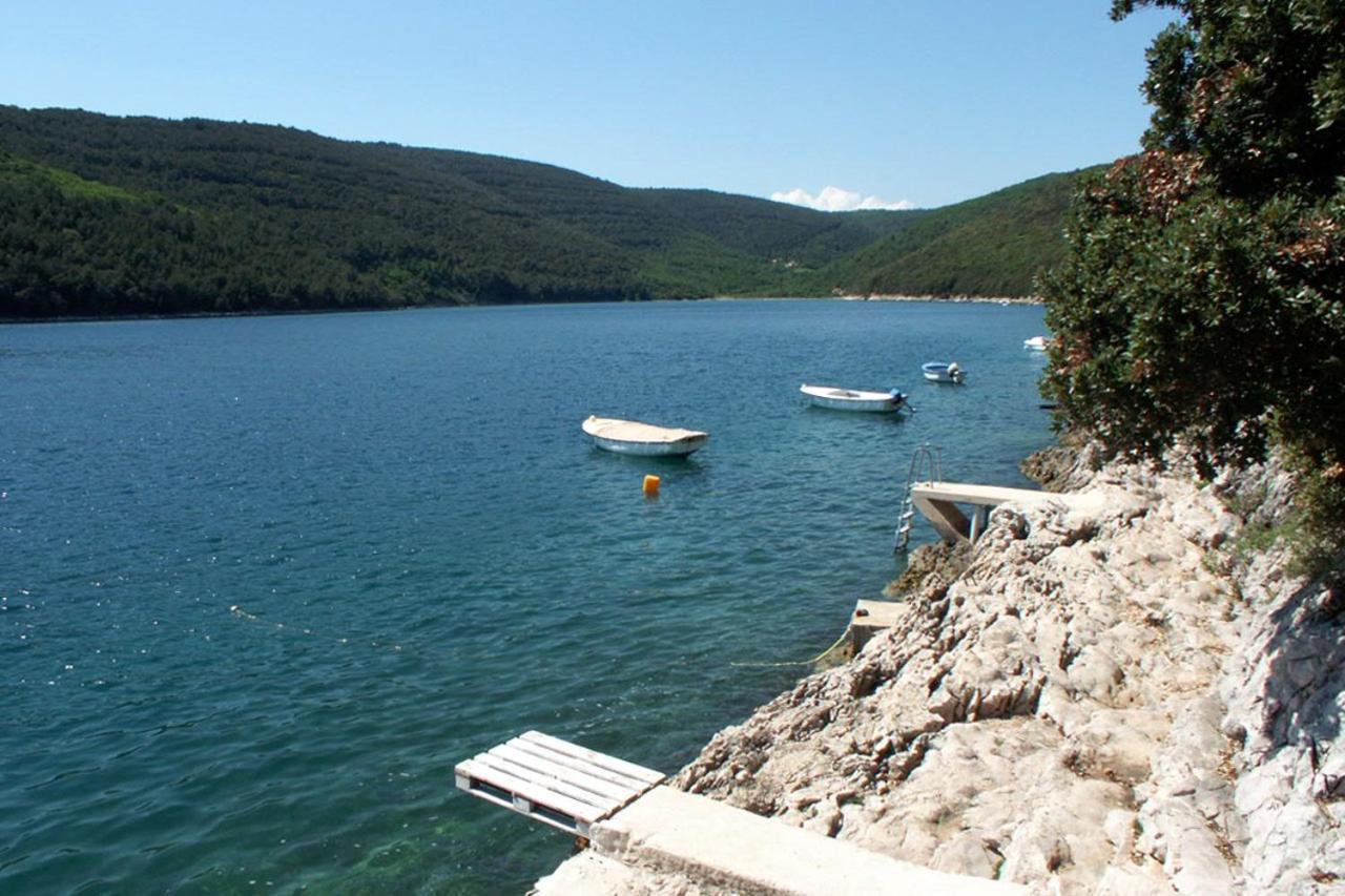Apartments By The Sea Duga Luka - Prtlog, Labin - 2367 Drenje  Buitenkant foto