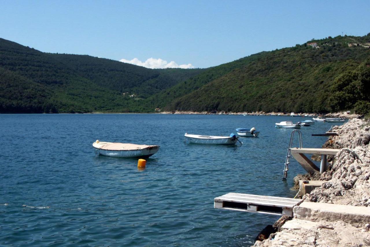 Apartments By The Sea Duga Luka - Prtlog, Labin - 2367 Drenje  Buitenkant foto